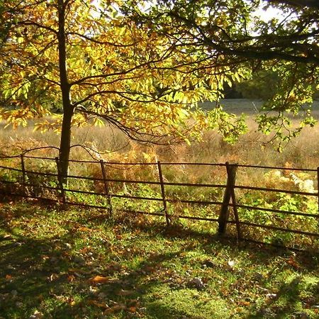 Tekels Park Guest House Camberley Esterno foto