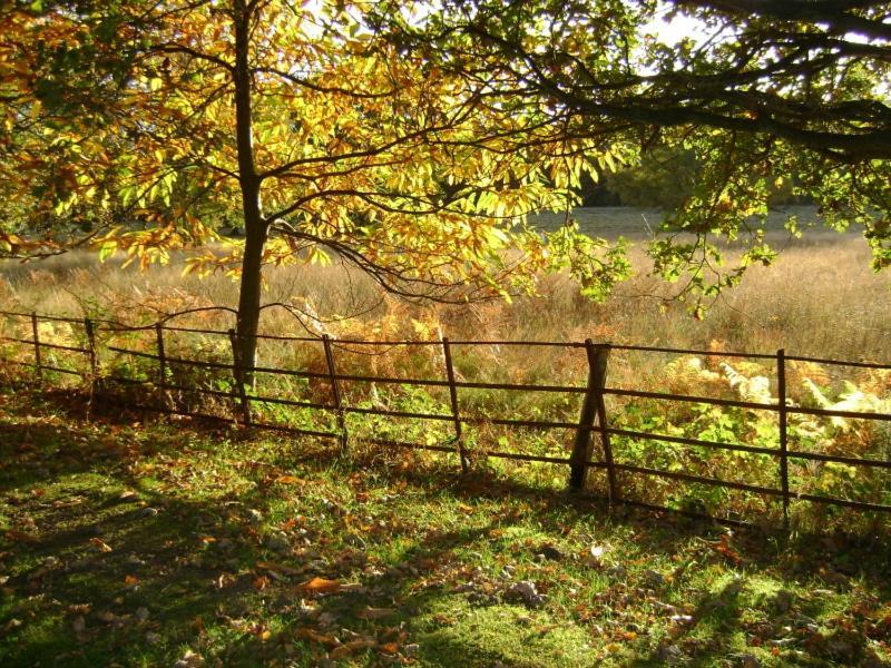 Tekels Park Guest House Camberley Esterno foto